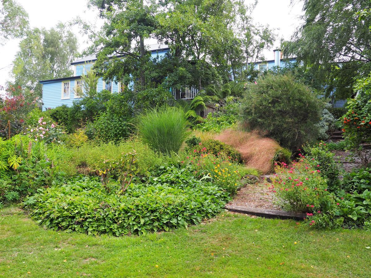 Mole Creek Guesthouse Exterior foto