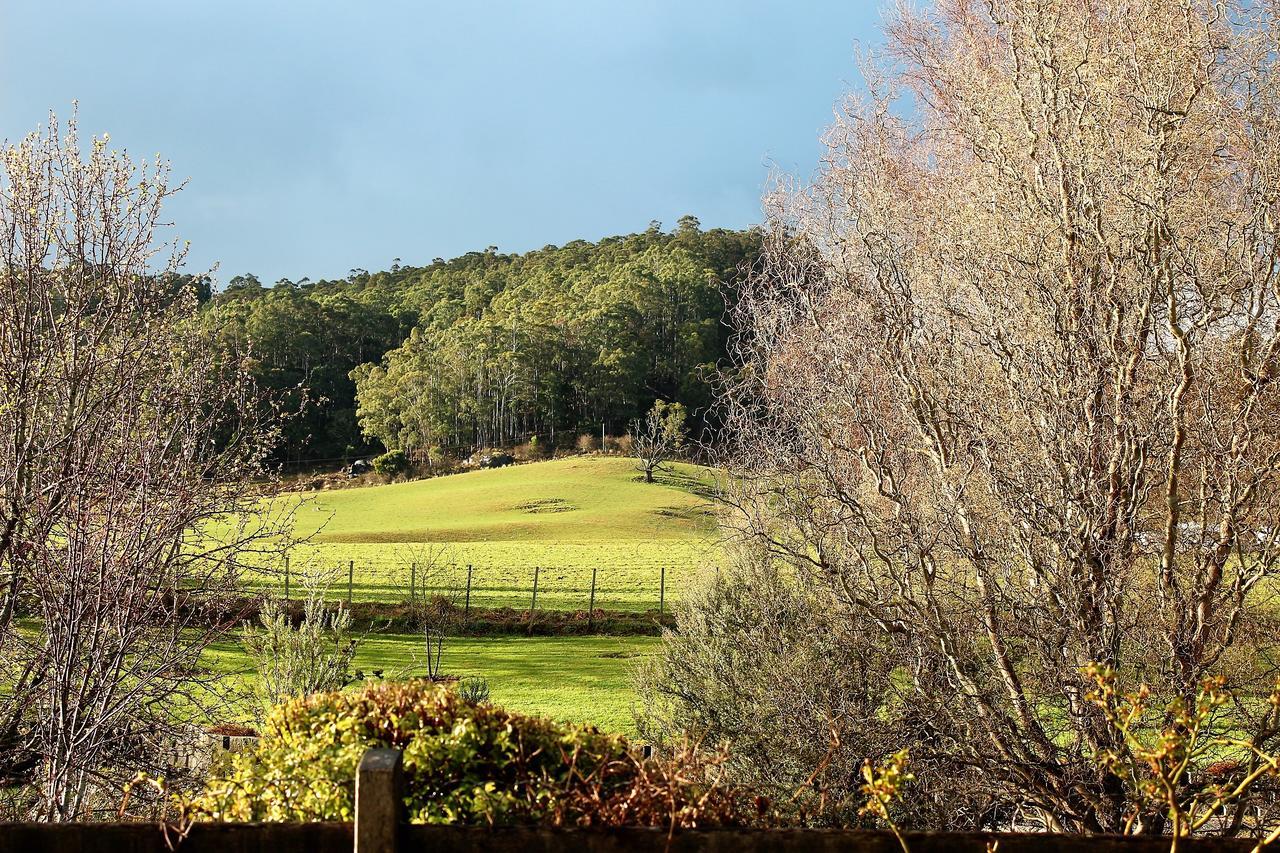 Mole Creek Guesthouse Exterior foto