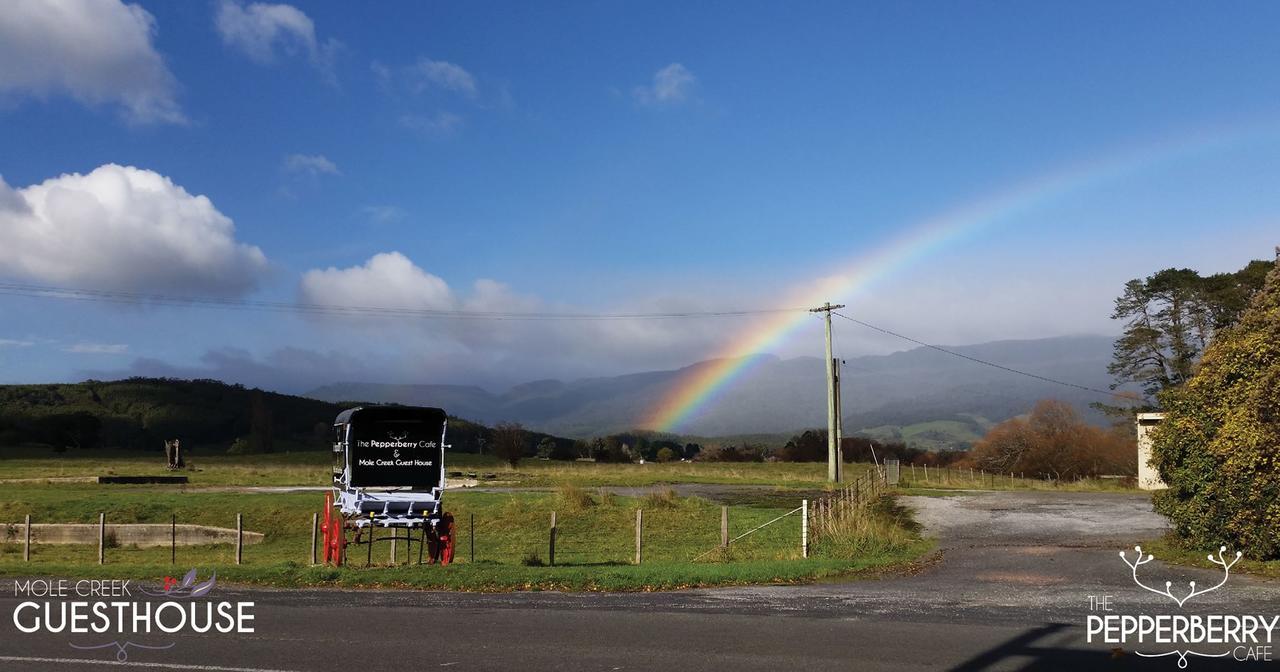 Mole Creek Guesthouse Exterior foto
