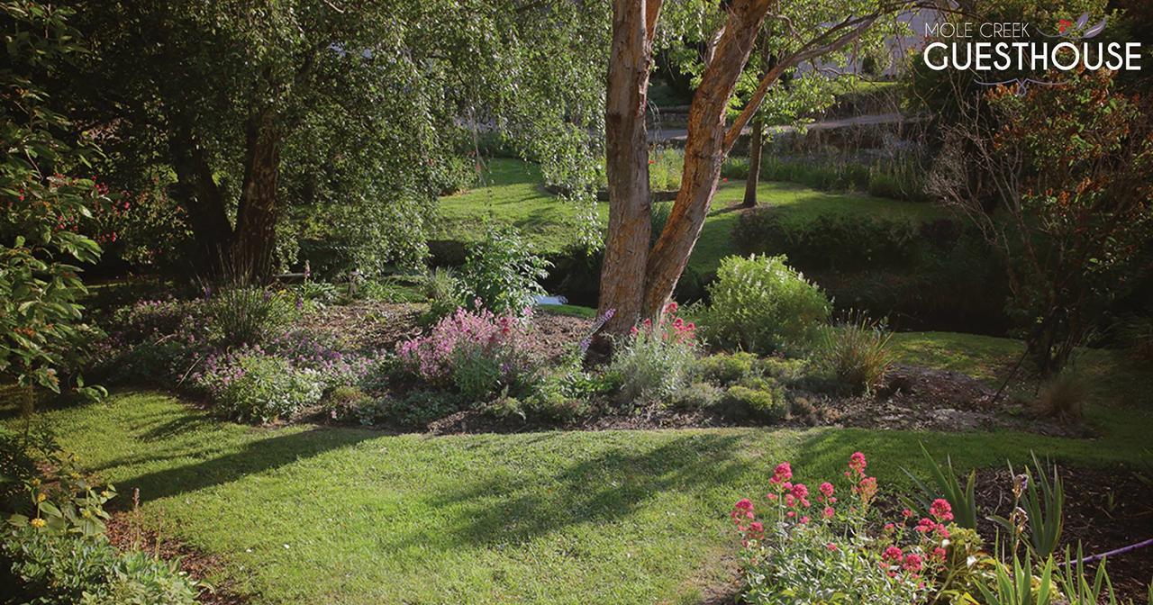 Mole Creek Guesthouse Exterior foto
