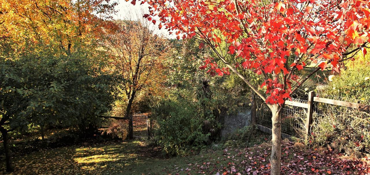 Mole Creek Guesthouse Exterior foto